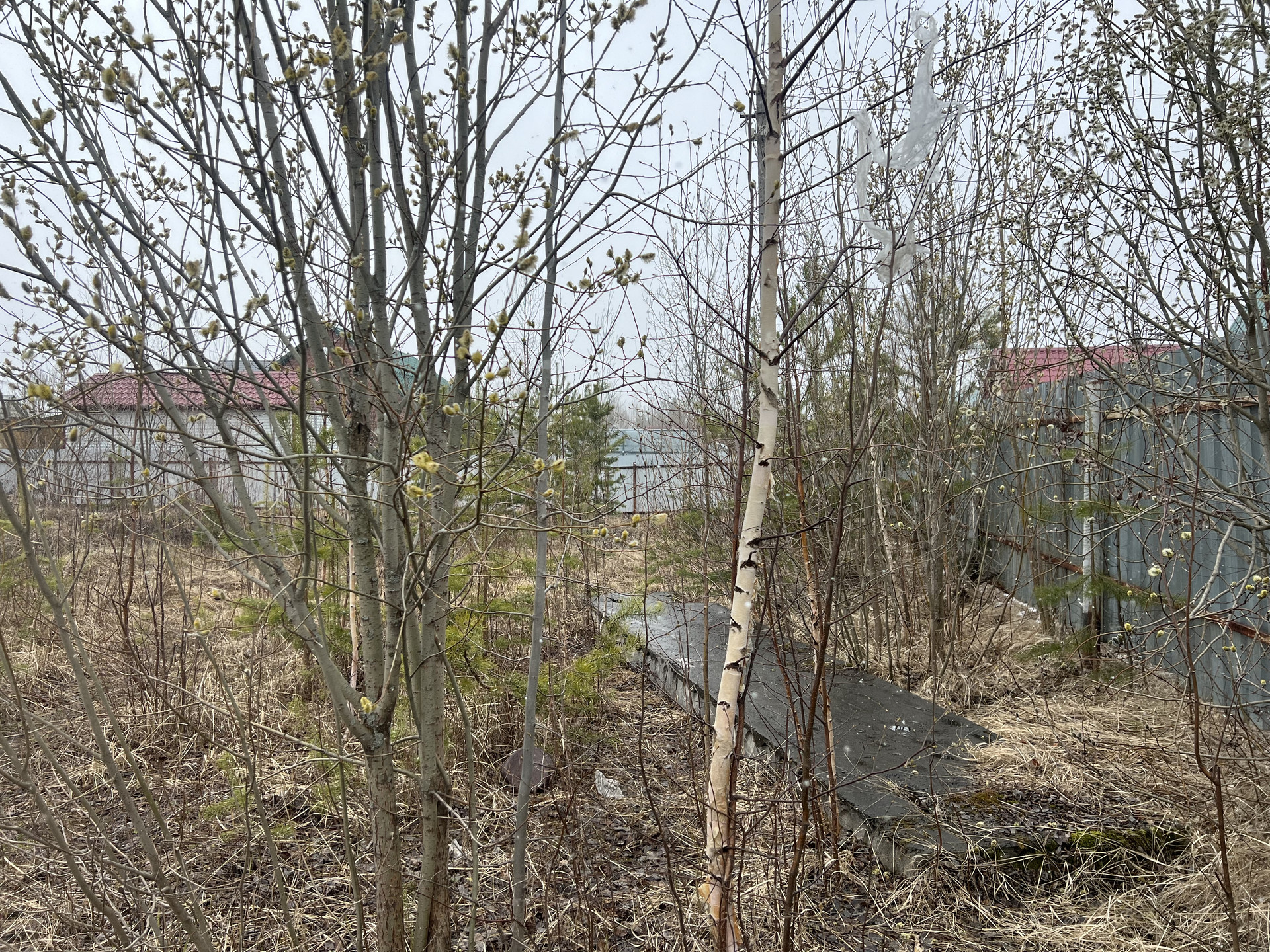 Домклик—cервисдляпоискаипокупкинедвижимостивипотеку