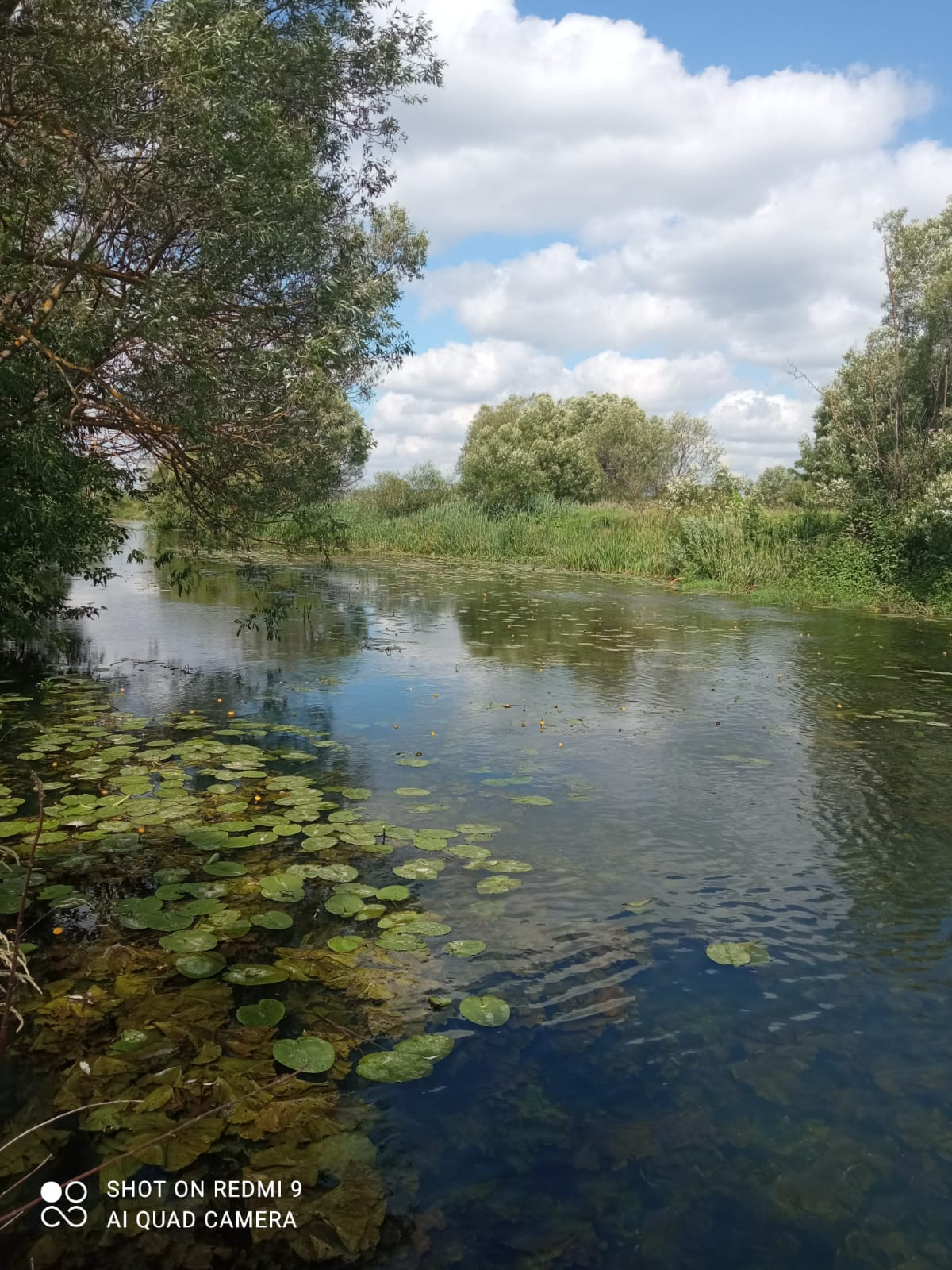 Купить Дом В Шелемишево Рязанской Области