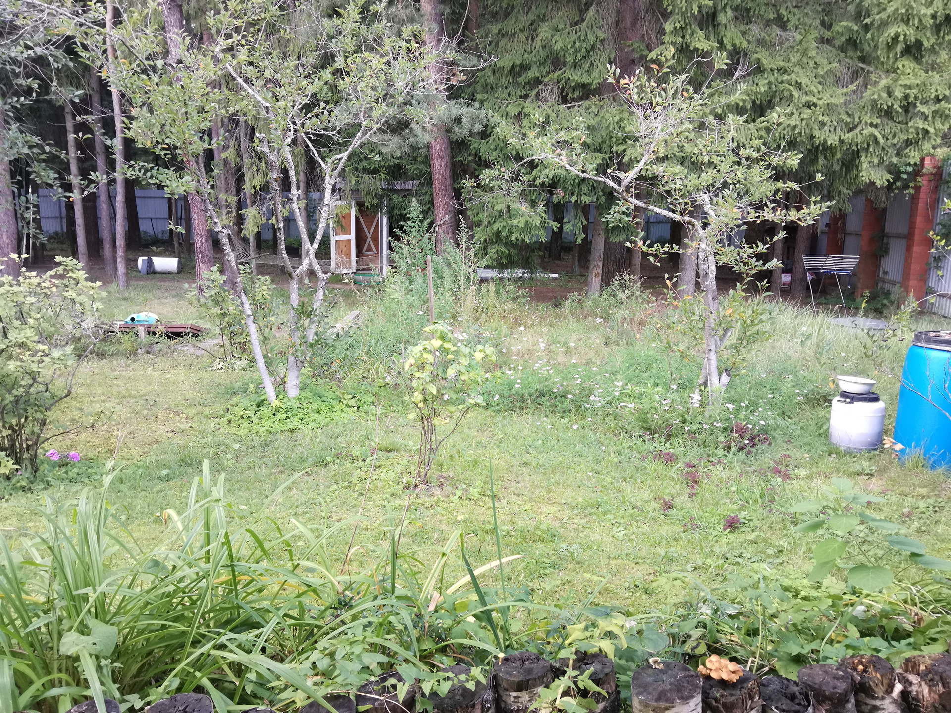 Купить участок, 4.5 сот., Садовый по адресу Московская область ...