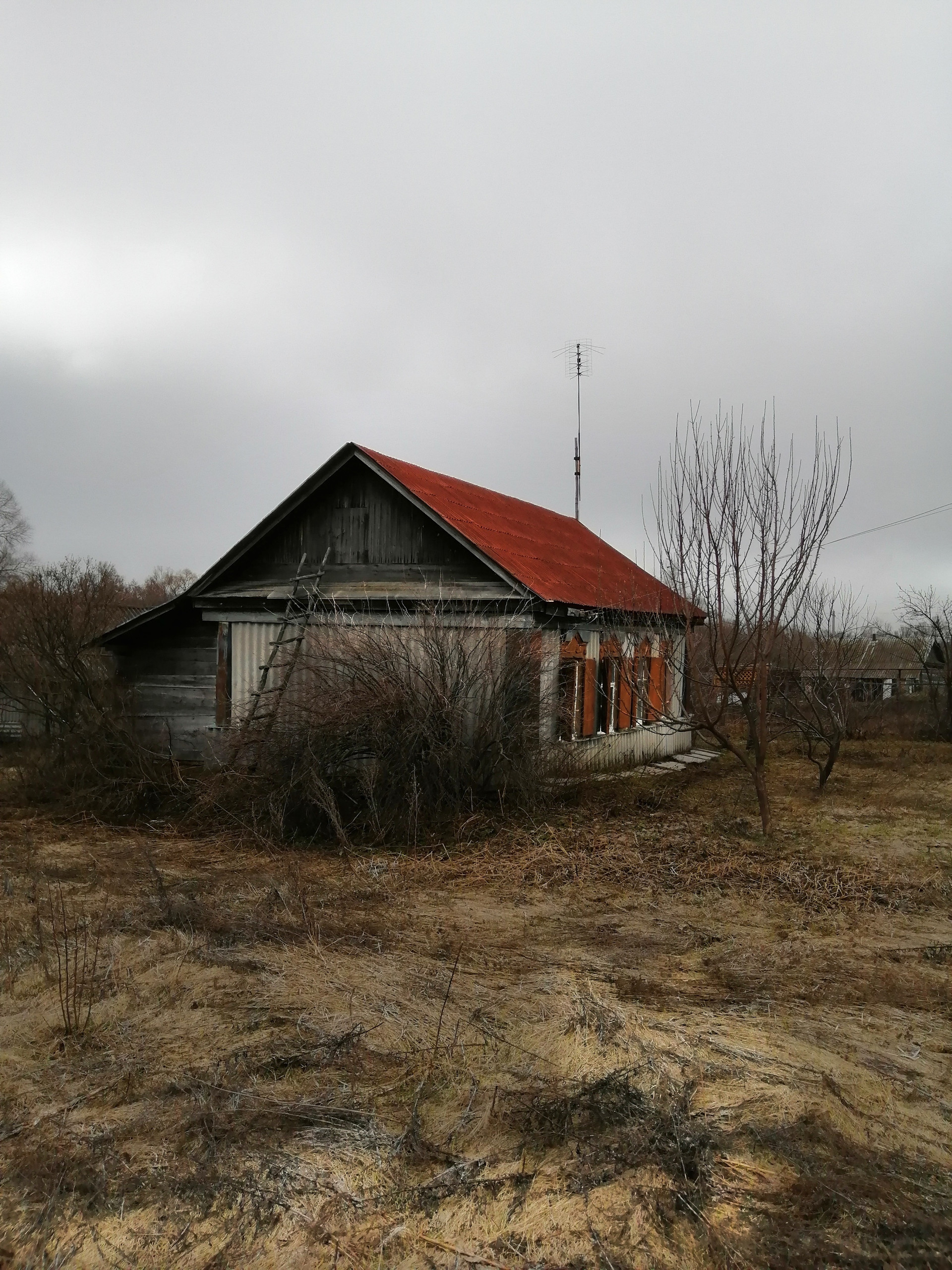 Погода в мизино лапшиновка татищевского