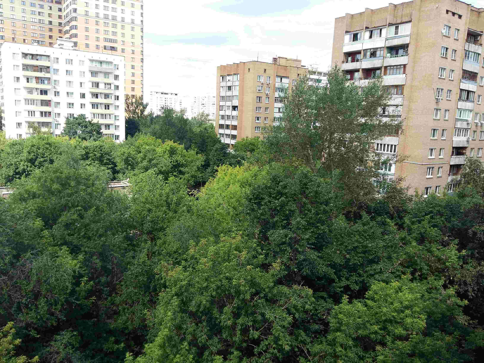 Москва, 11-я парковая ул. 11 парковая 19. 11-я парковая улица, 52. 11 парковая 19. 3-й парковой улице, дом 8/19.