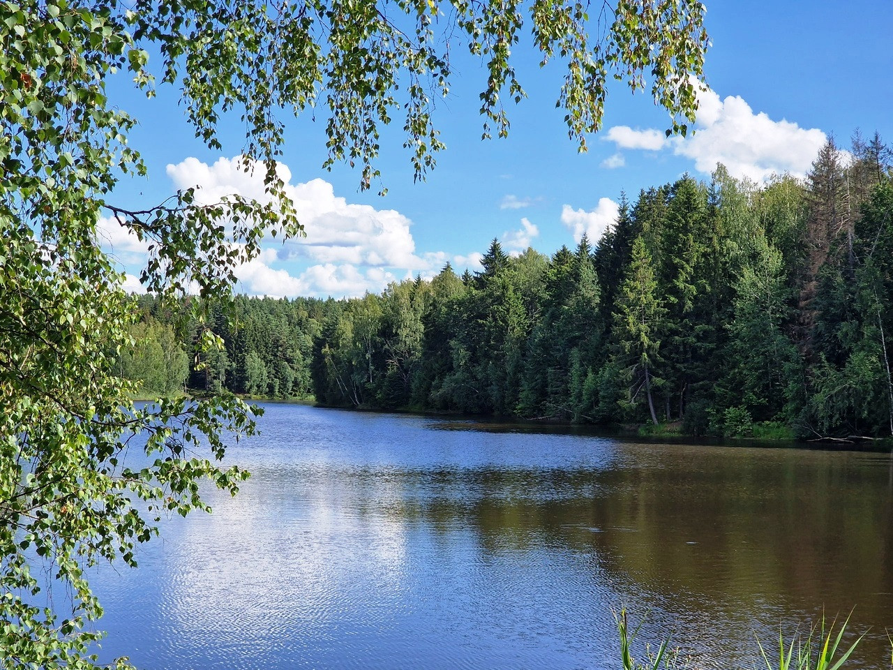 деревня озеро калужская область