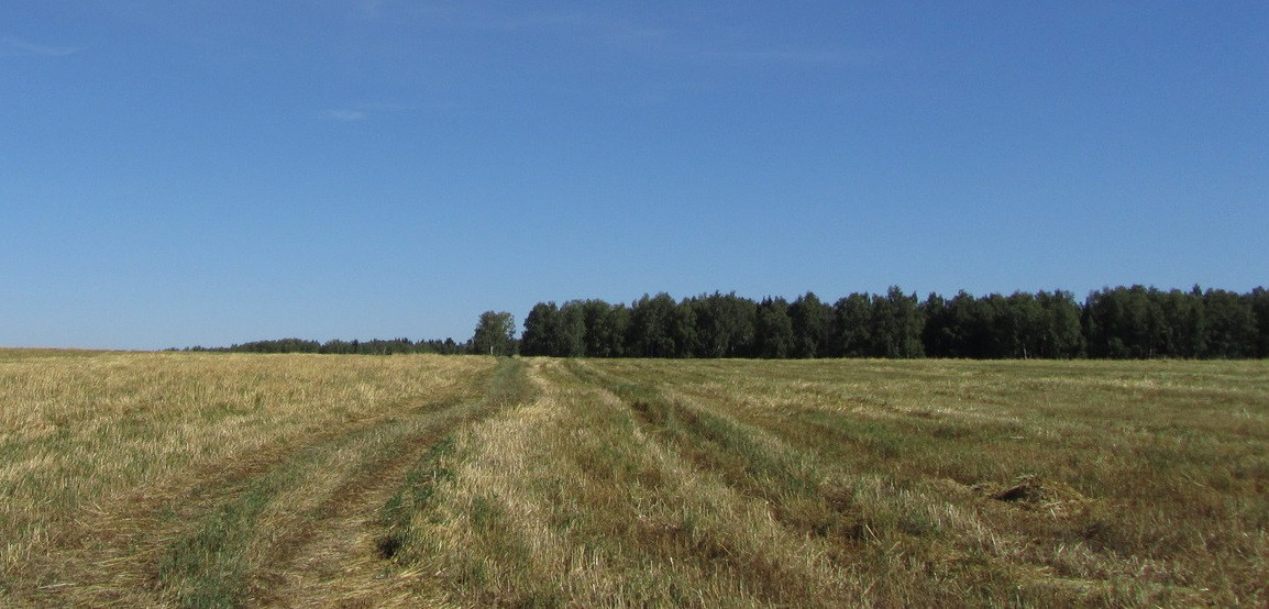 Домклик—cервисдляпоискаипокупкинедвижимостивипотеку