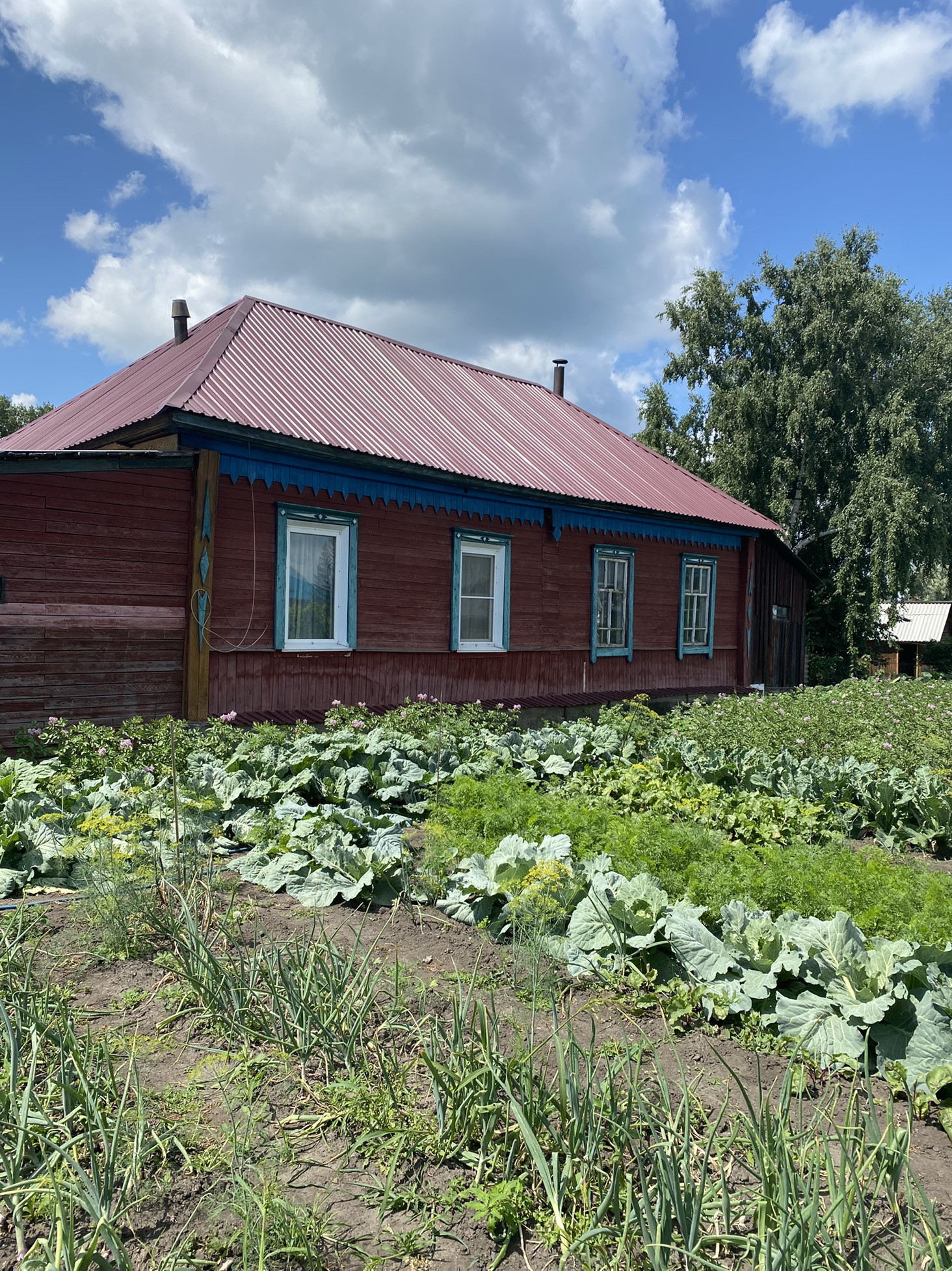 Дом Клик Купить Дом В Новоалтайске