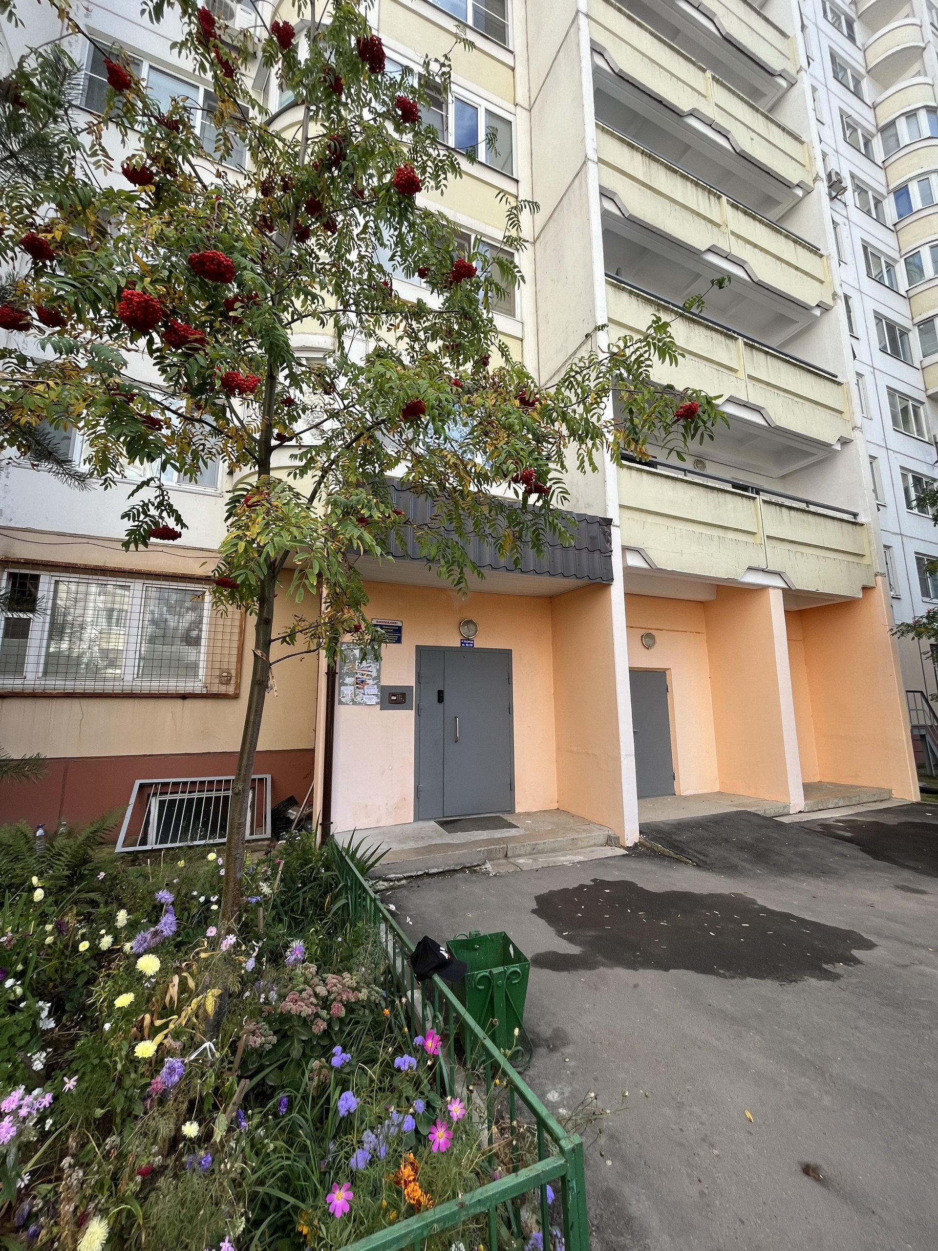 Купить 1-комнатную квартиру, 53.9 м² по адресу Московская область,  Солнечногорск, Молодёжный проезд, 1, 5 этаж за 6 280 000 руб. в Домклик —  поиск, проверка, безопасная сделка с жильем в офисе Сбербанка.