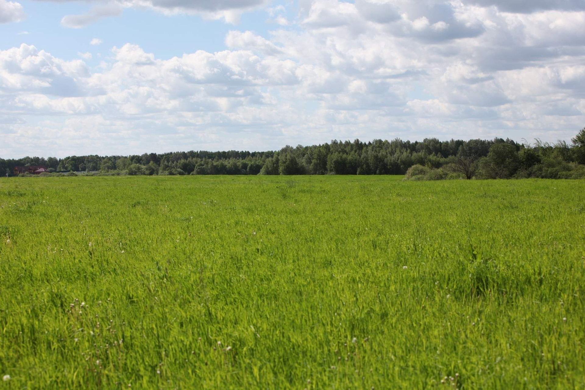 В Луганске нашли документы о продаже земель иностранцам
