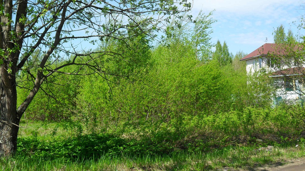 Ковалево ленинградская область