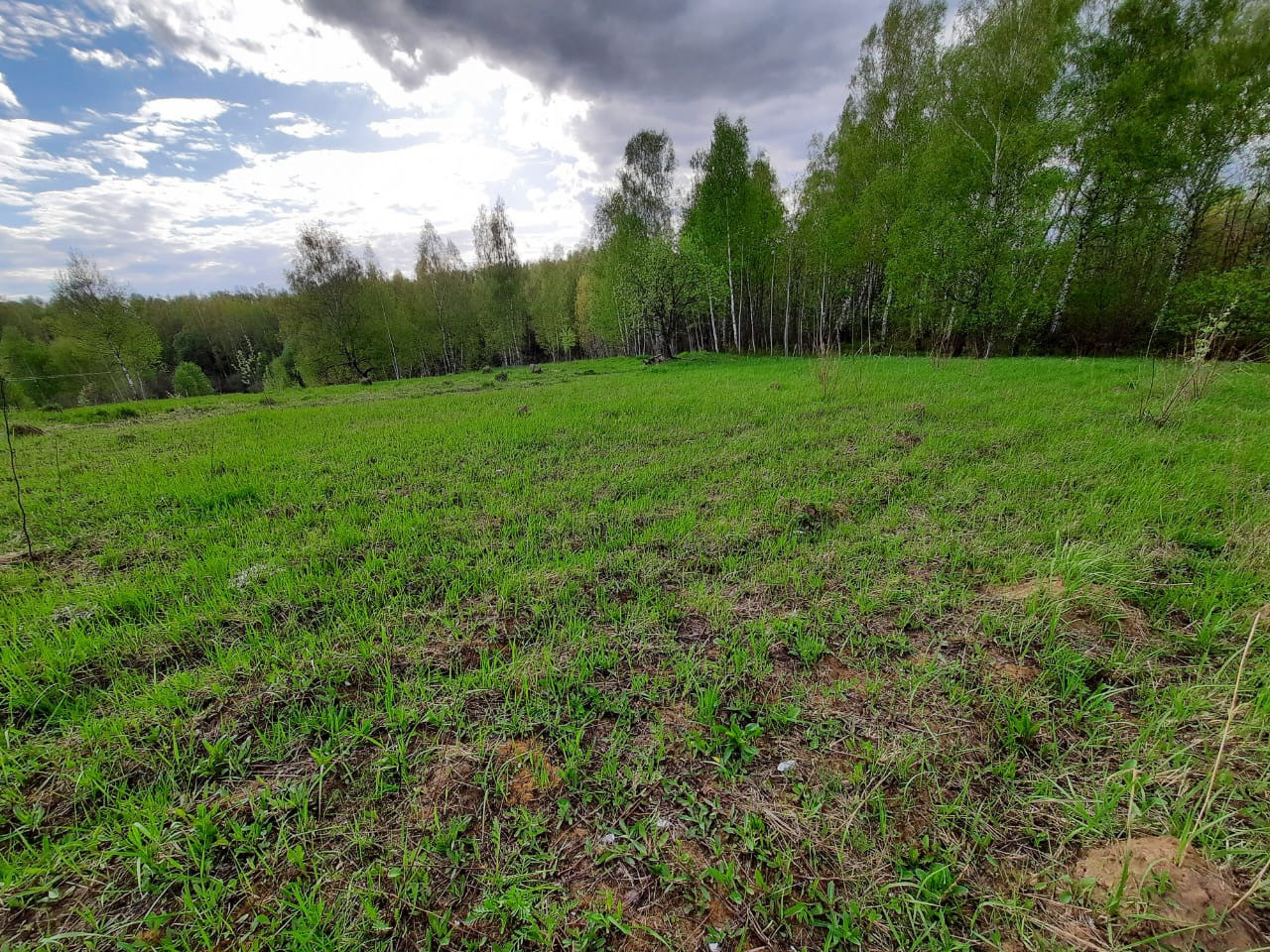 Купить Земельный Участок В Алексине Тульской Области