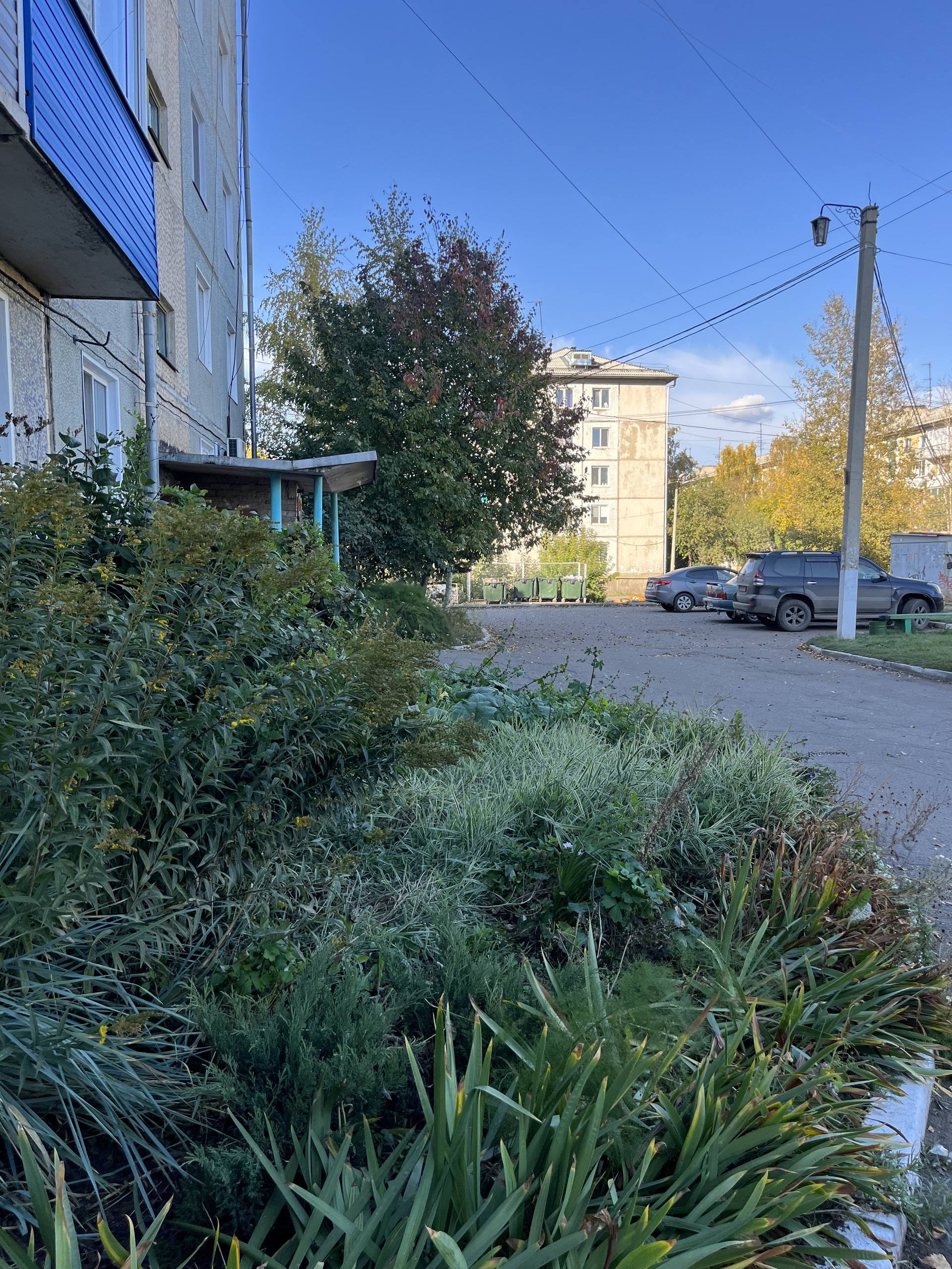 Пролетарская 50