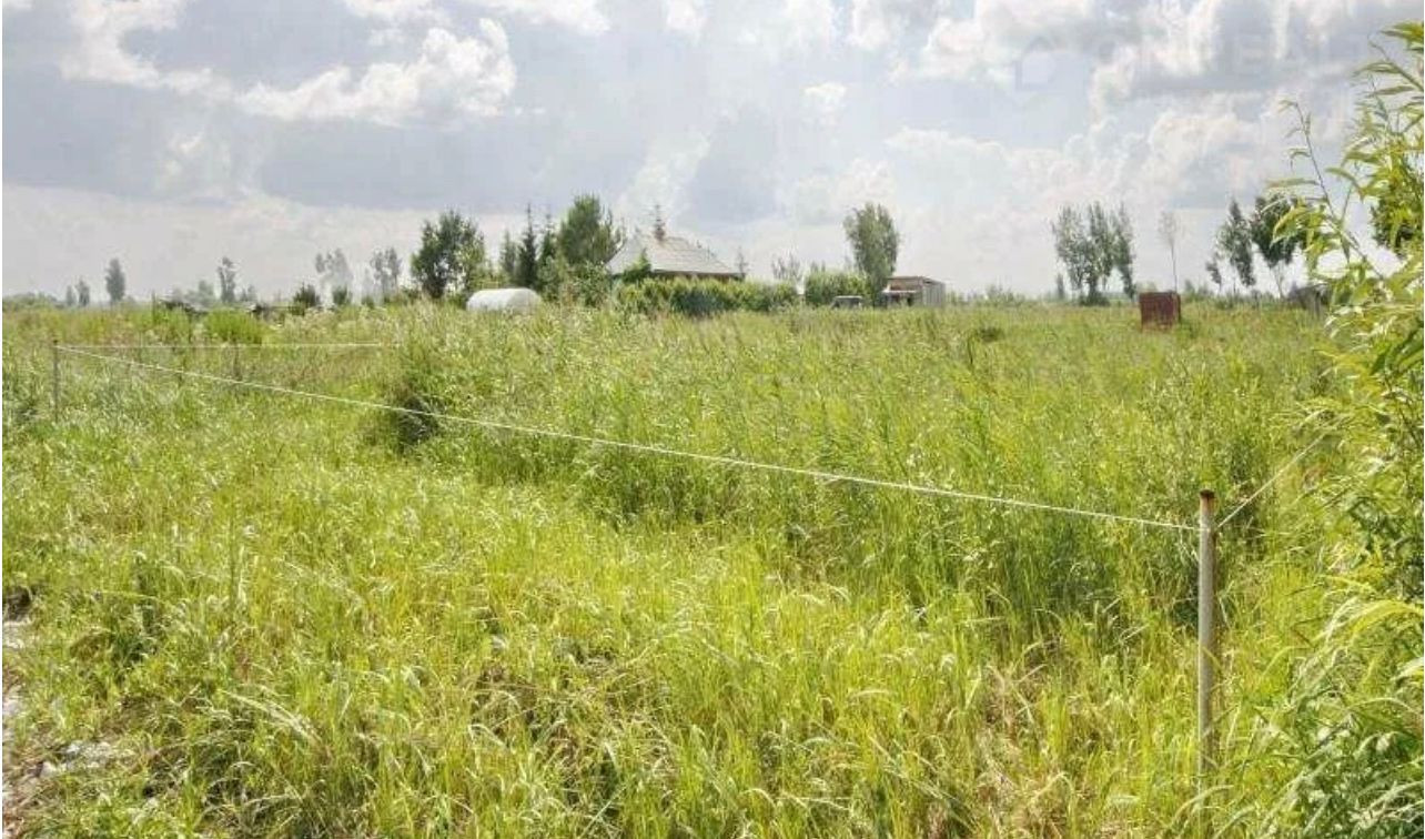 Купить Ижс Участок В Омске Недорого