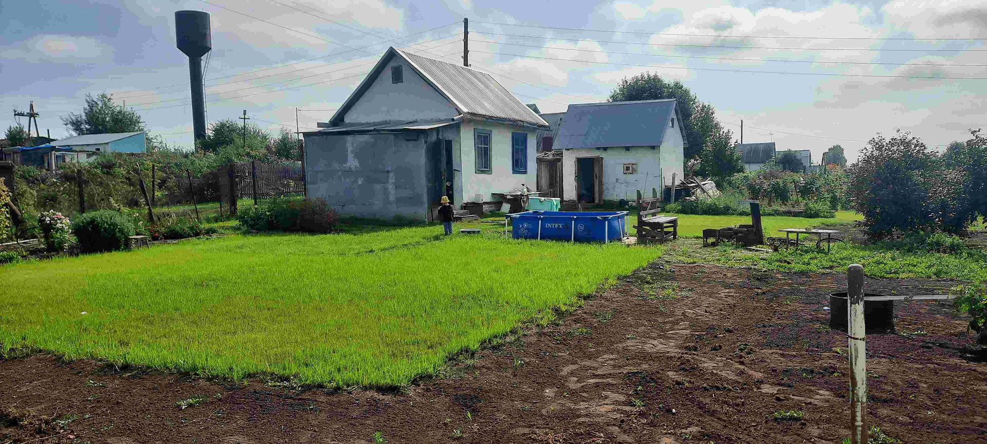 Купить Дом В Боровихе Первомайского Района Алтайского