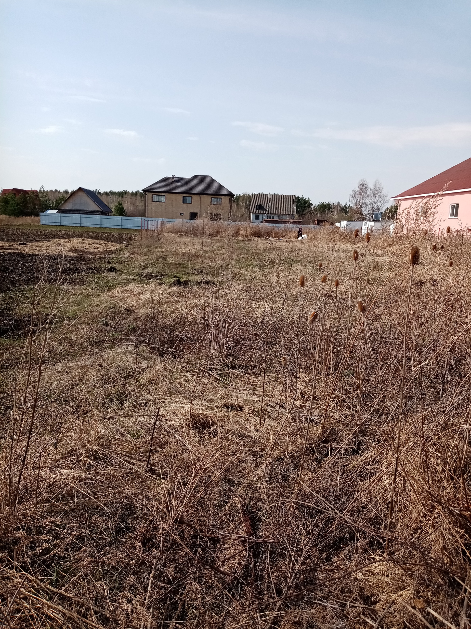 Тюшевское сельское поселение. Рязанская область село Тюшево. Тюшево Рязанская область фото.