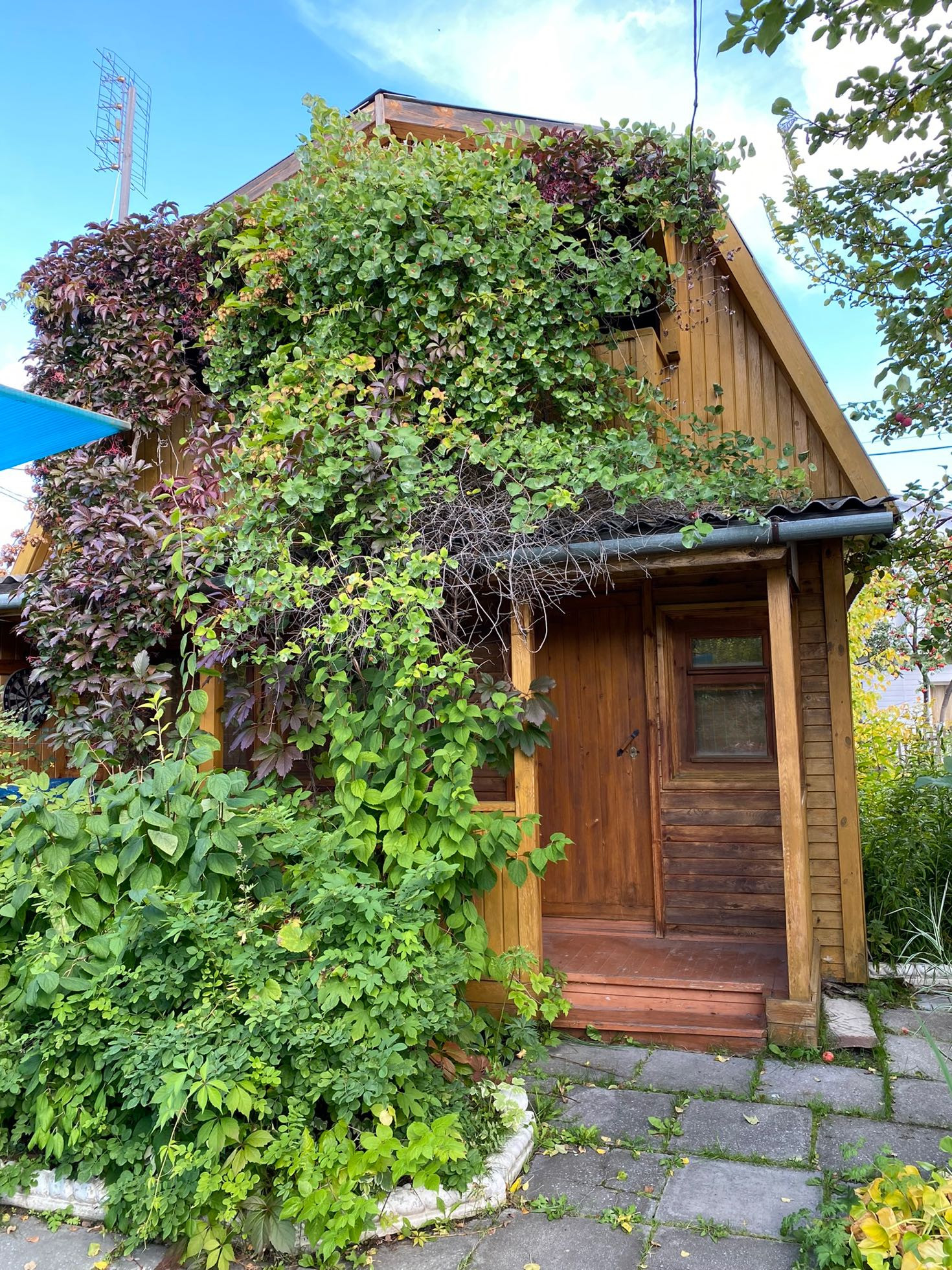 Купить Участок Снт Янтарь