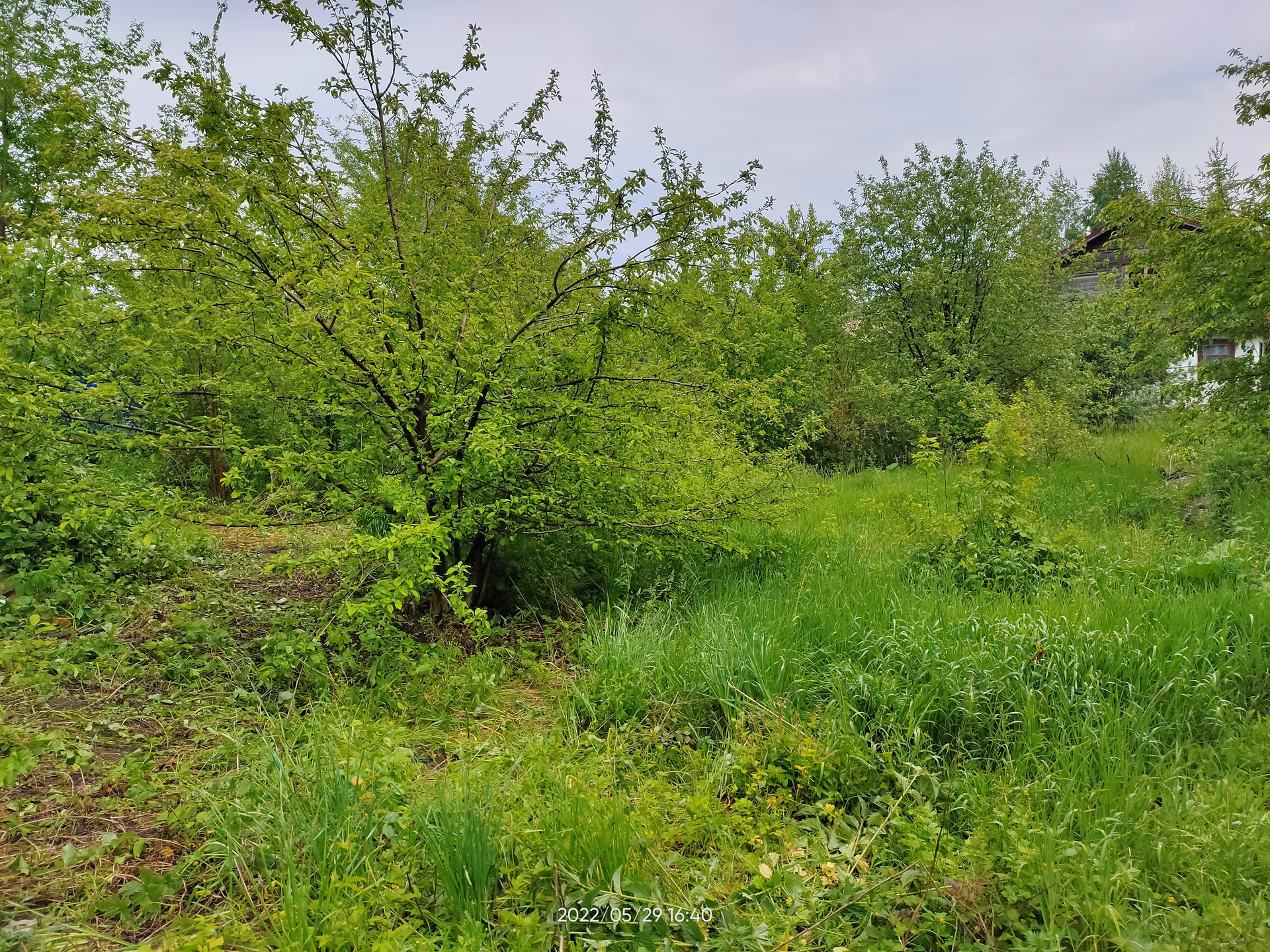 СНТ Спутник 5. Саратовский Луговой городок.