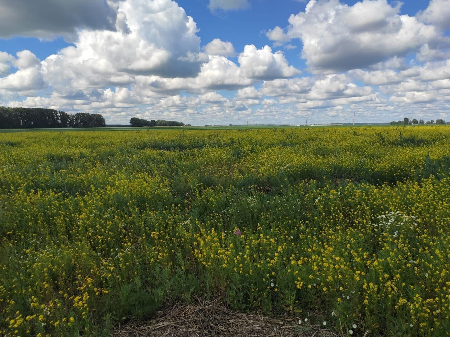 Стерлитамак ижс. Село Мариинский Стерлитамакский район. Поселок Мариинский Стерлитамак. Село Мариинский Стерлитамакский район индекс.