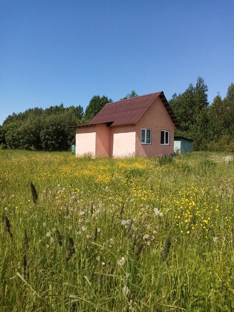 Купить Дом В Ветвеннике Гдовского Района