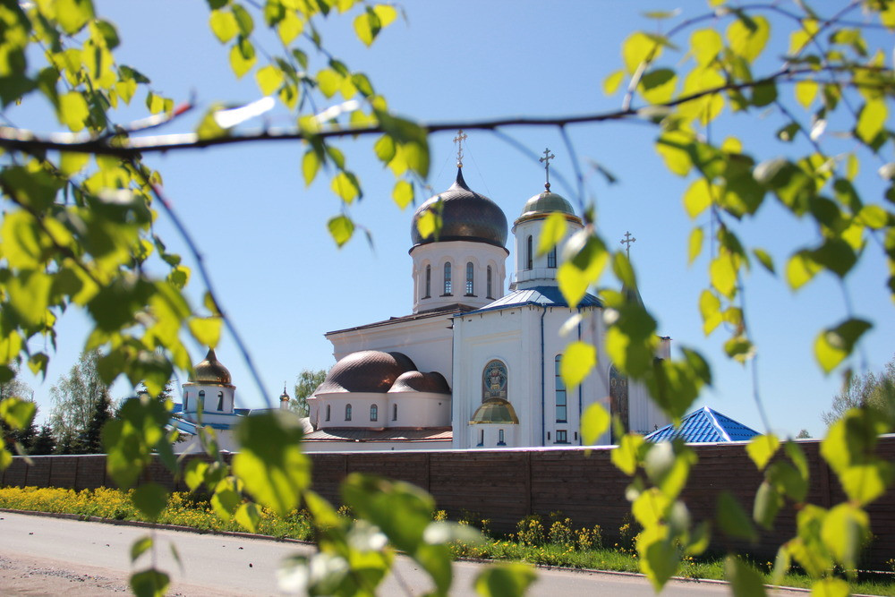 Поселок ленинское монастырь. Константино-Еленинский монастырь. Константино-Еленинский женский монастырь Ленинградская область. Константино-Еленинский женский монастырь, посёлок Ленинское.